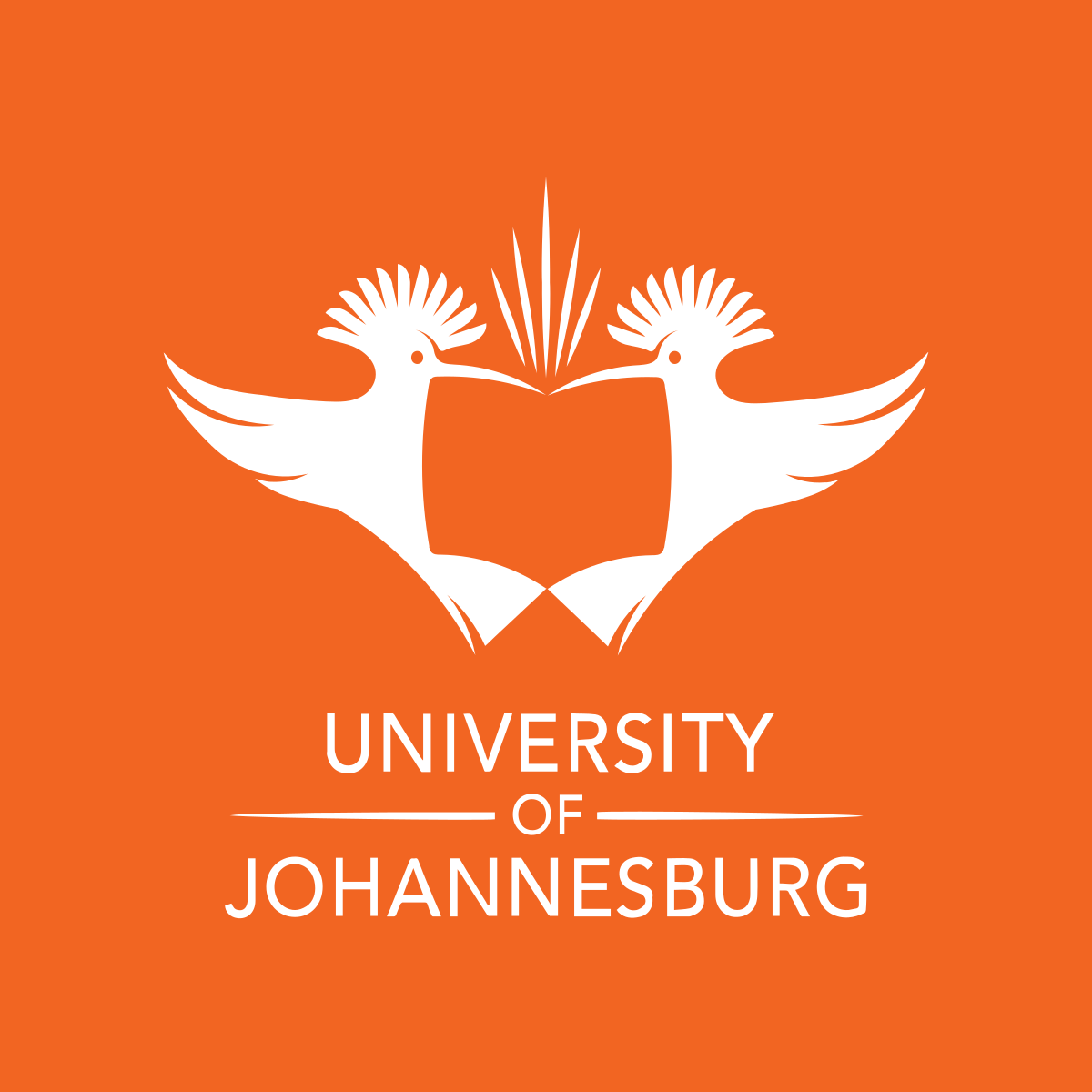 University_of_Johannesburg_Logo.svg-1.png